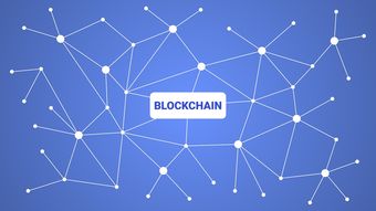 开云官网APP下载-英超青训采用虚拟现实技术强化战术理解与应变能力，英超vr技术