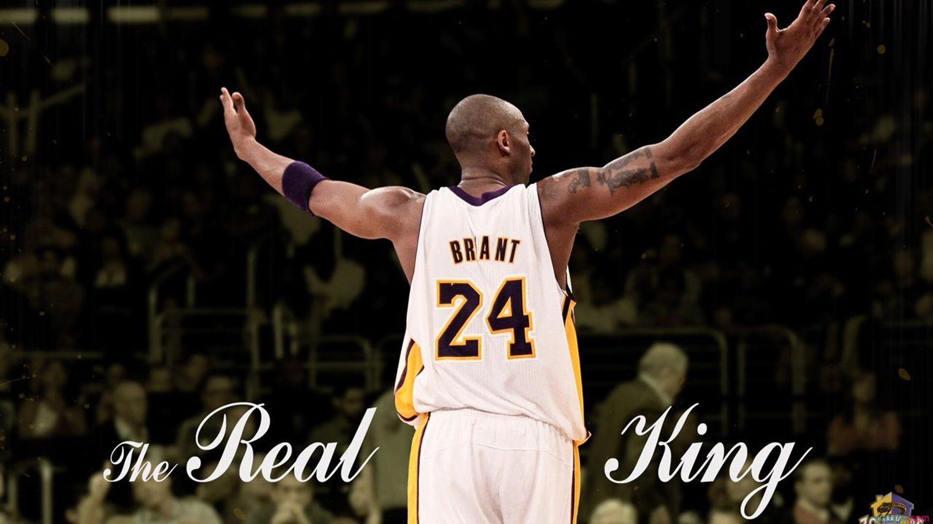 开云中国大陆-《【未来展望】虚拟偶像与真人主播联手，为电竞添彩》，虚拟偶像 虚拟主播